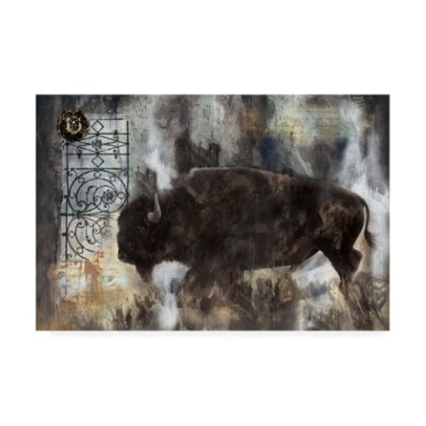 Trademark Fine Art Marta Wiley 'Buffalo Abstract' Canvas Art, 30x47 IC02101-C3047GG
